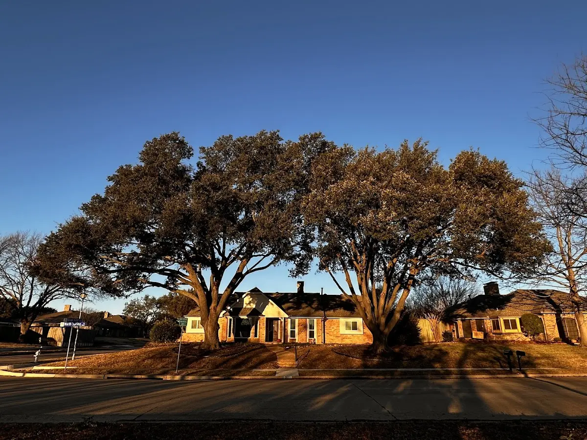 Established residential canopy tree shading a home in Guthrie Center